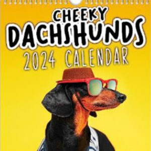 2024 Cheeky Sausage Dog Calendar Funny